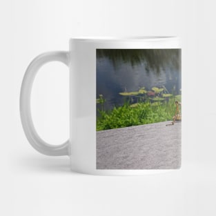 Locust Locus Mug